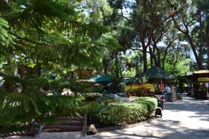 Green spots in Çakırlar